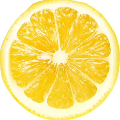 Orange slice